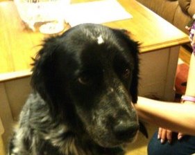 5 лучших способов потратить деньги