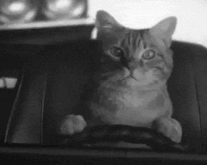 Как прожить неделю до зарплаты, если денег почти не осталось