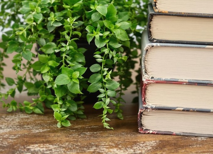 8 финансовых уроков, которые преподнесла нам пандемия коронавируса