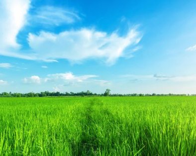 Как быстро погасить кредит: 5 стратегий для практичных людей