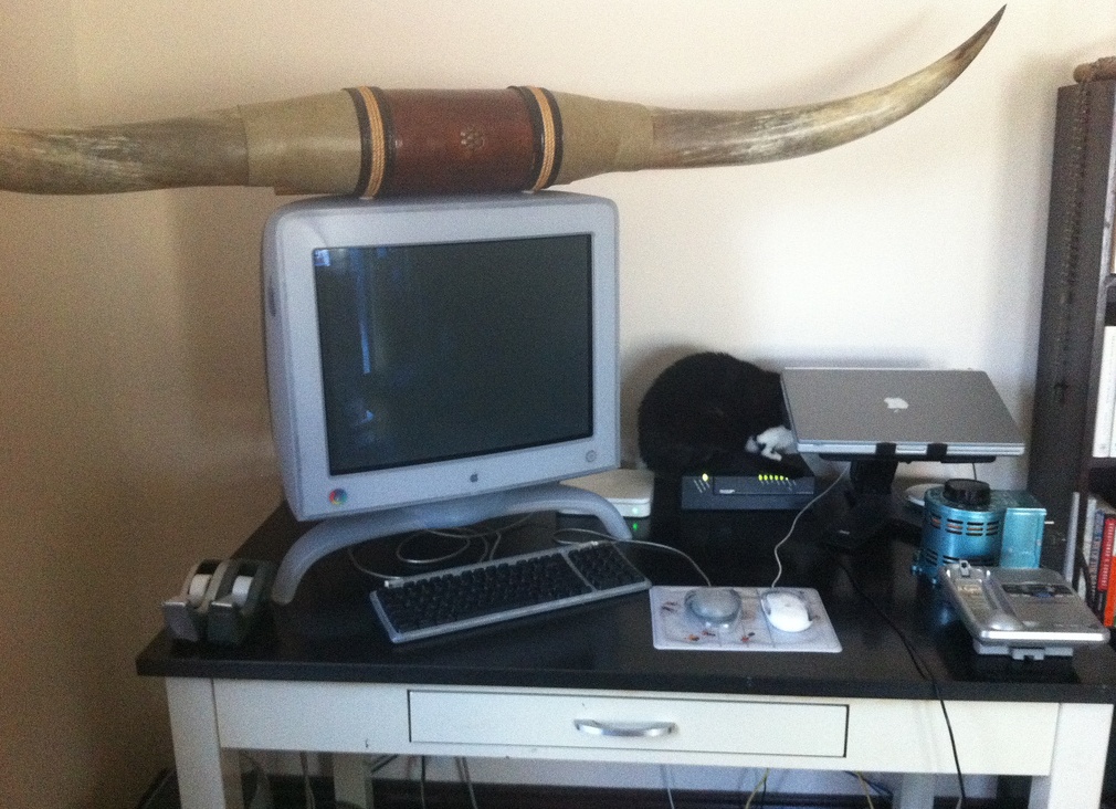 Как не устать от онлайн-стратегии и заработать на любимой игре